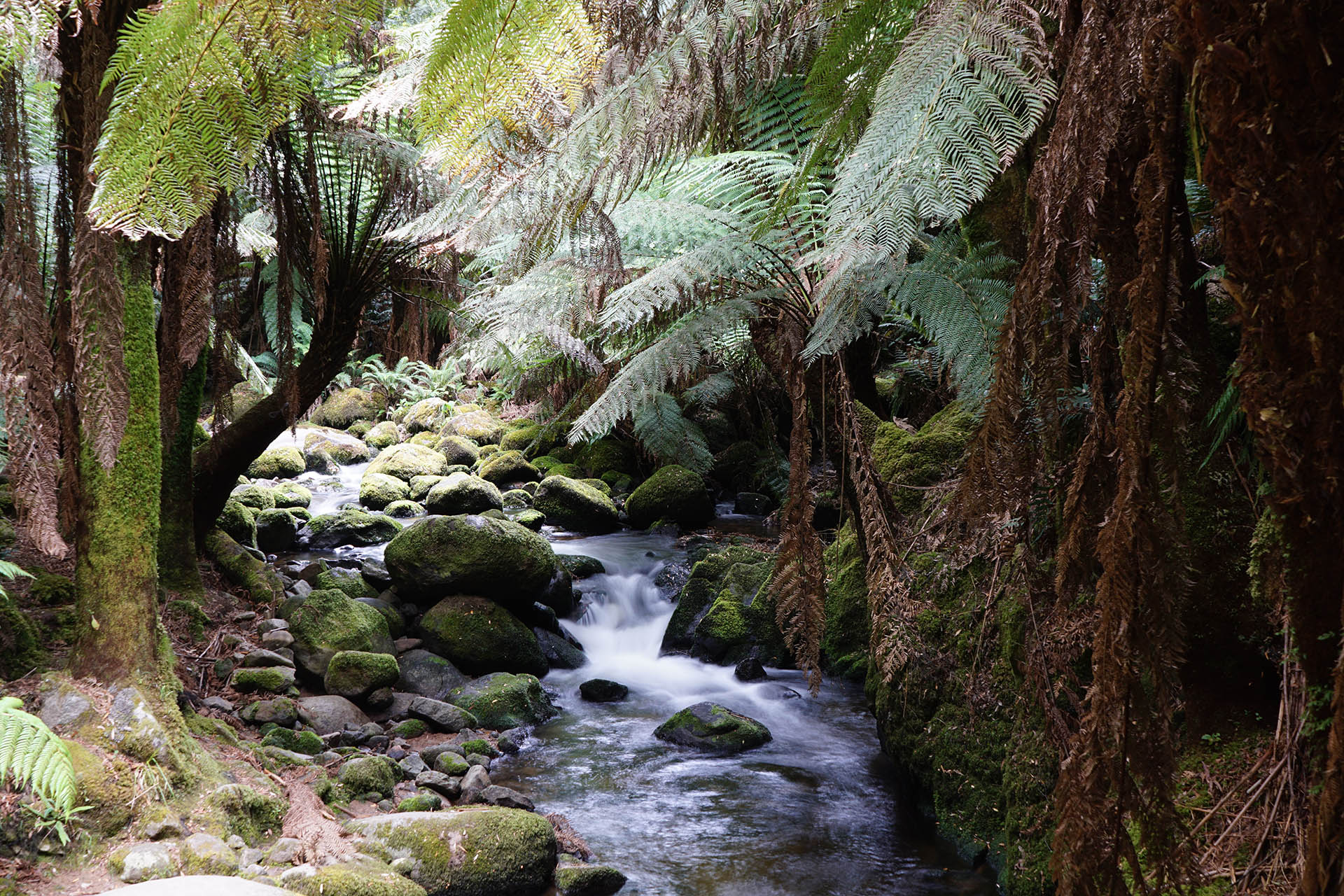 St Columba Waterfall